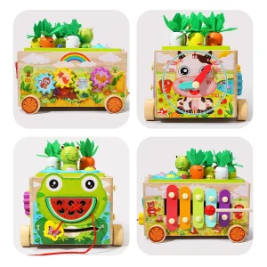 Wooden Educational Toys Carrot Shape Assortment Matching Games